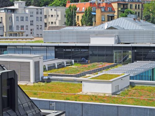 Extensive green roofs in the city